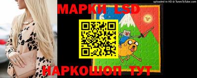 mdpv Будённовск