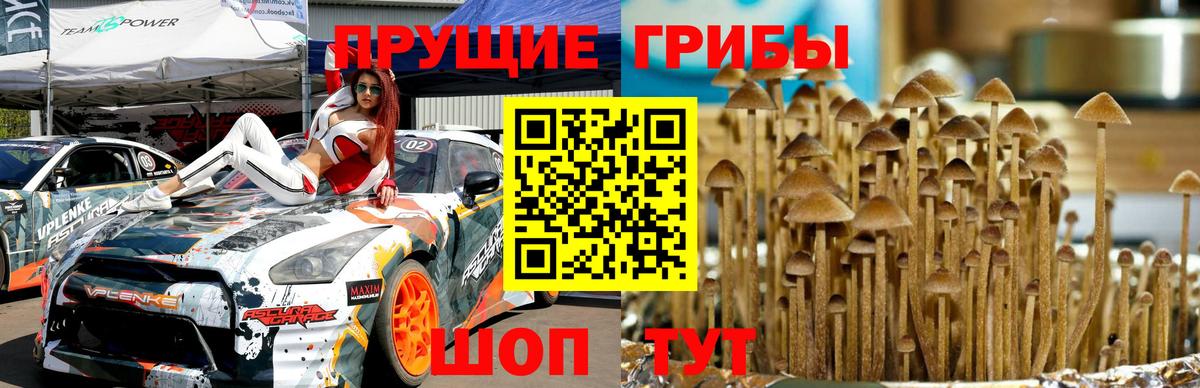 Псилоцибиновые грибы мухоморы  Вход с VPN  Мончегорск 