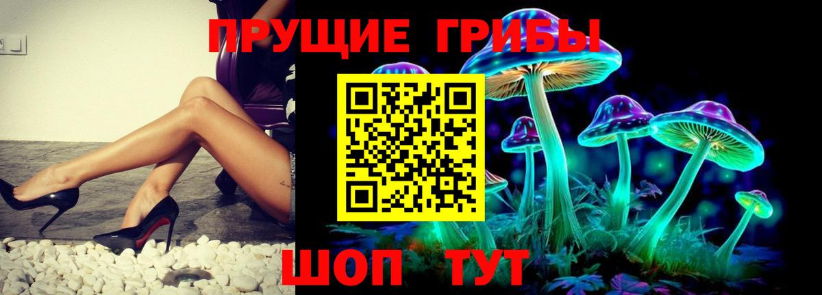 Псилоцибиновые грибы мухоморы Мончегорск